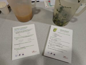 JOURNE MONDIALE SAF 2